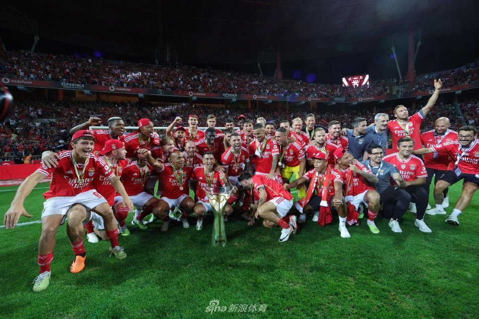 地发现阵容 地发现阵容