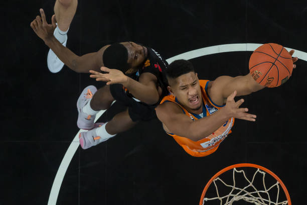 快速成长的 快速成长的